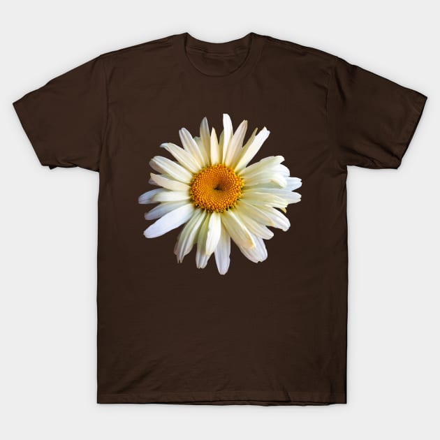 Daisies - Daisy Looking Up T-Shirt by SusanSavad